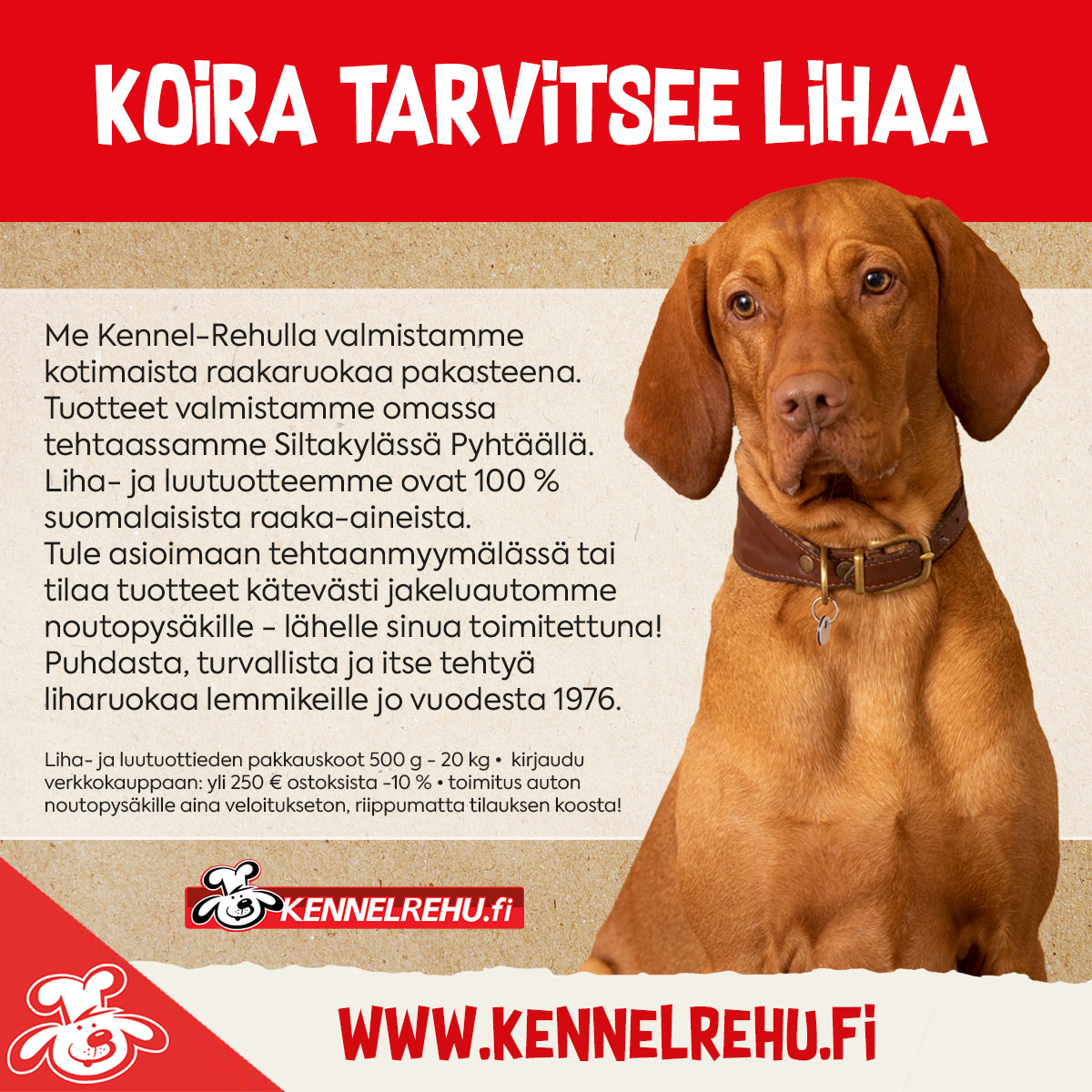 Otsikko: Koira tarvitsee lihaa. Kuvassa koira, Kennel-Rehun logo.