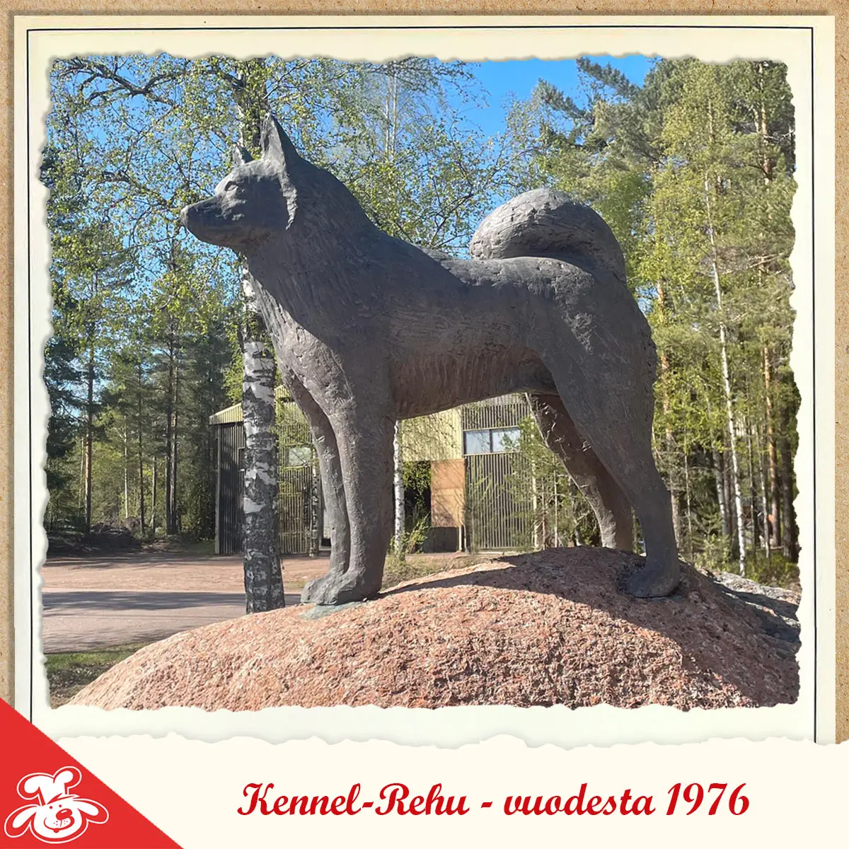 Koirapatsas kivellä