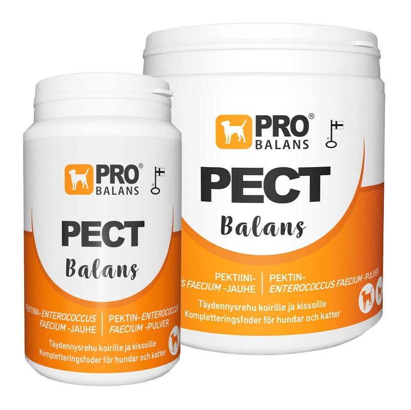 Probalans Pectbalans maitohappobakteeri