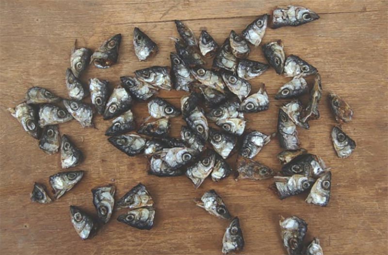 Kuivattu särkikalan pää 70 g