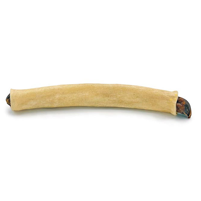 Rauh Moose Bullet