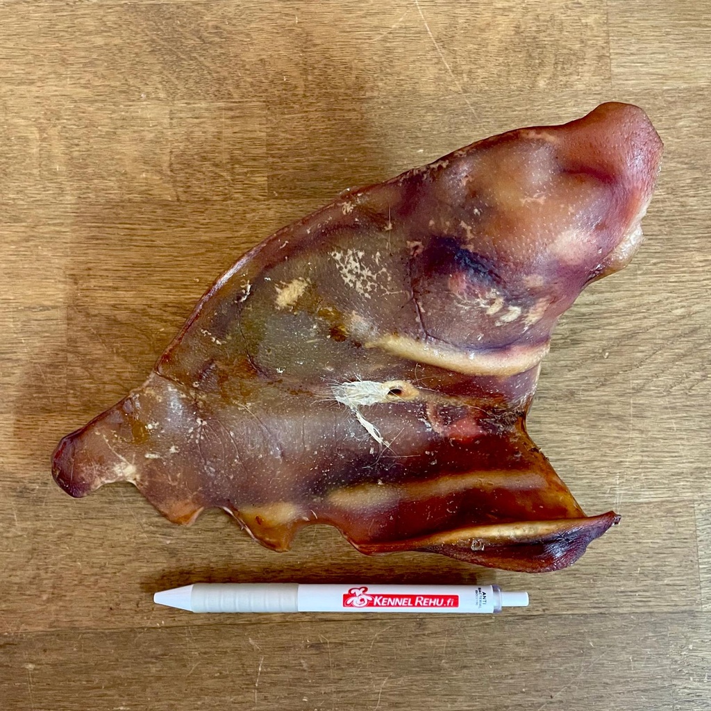 Possunkorva kuivattu iso