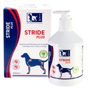 STRIDE plus